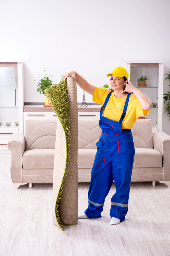 carpet cleaning in Foxborough professional at work