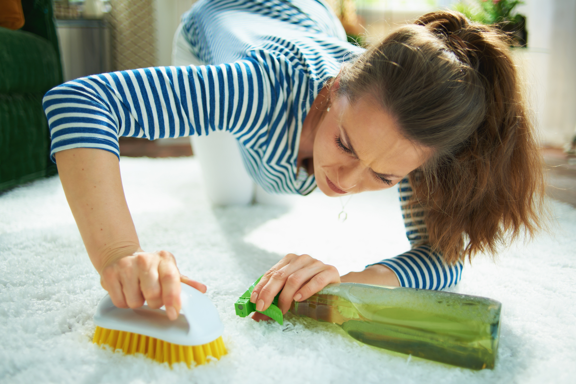 rug cleaning in Foxborough professional service