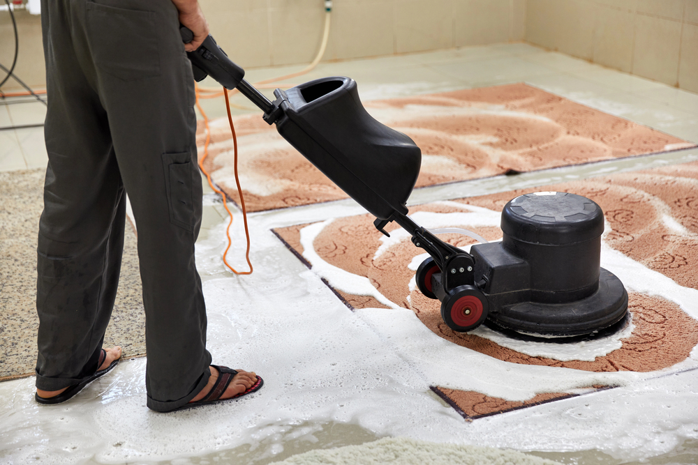 carpet cleaning in Foxborough stain removal